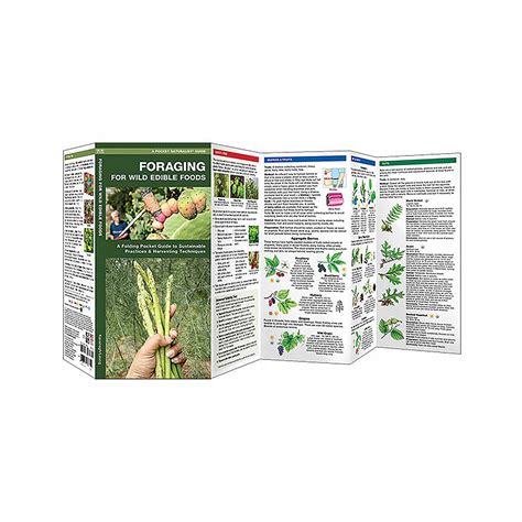 Foraging For Wild Edible Foods Folding Pocket Guide