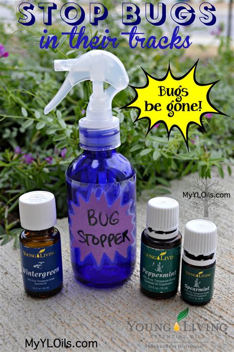 Natural Non Toxic Bug Spray With Young Living Essential Oils