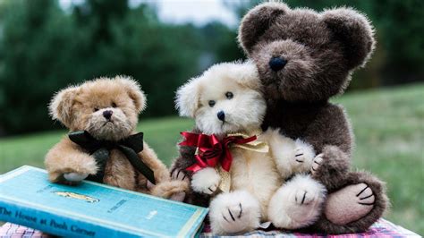 Teddy bear in all categories. Lovely And Beautiful Teddy Bear Wallpapers ~ Allfreshwallpaper