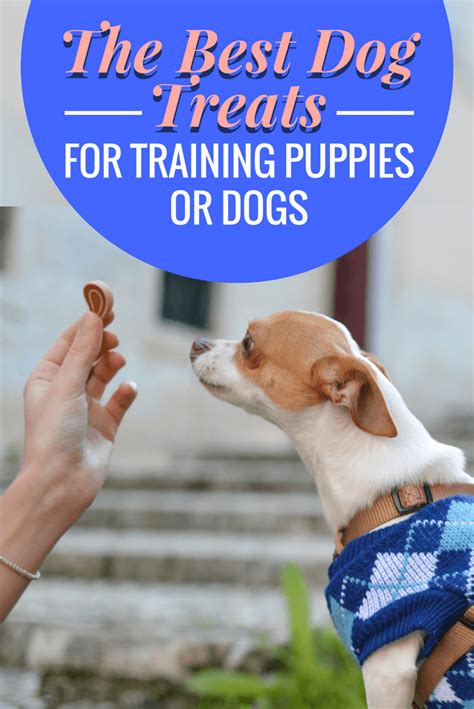 The Best Dog Treats For Training Puppies Or Dogs