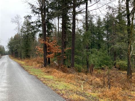 768 Center Street, Cleveland, NY 13042 | MLS: 11228496 | Land and Farm