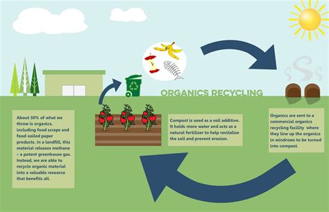 The Ultimate Step By Step Guide For Composting Thereviewsinsider