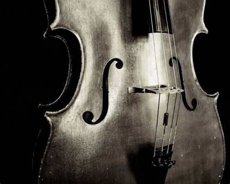 A Cello Solo Fine Art Photography Cello Music Notes Etsy