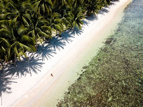 Aerial View Of A Woman Sitting On Sandy Beach Del Colaborador De
