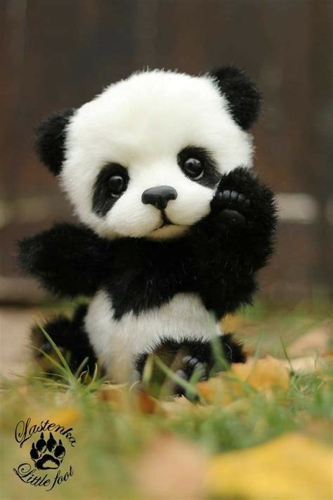 Cute Baby Panda Baby Animals Funny Cute Wild Animals Baby Animals