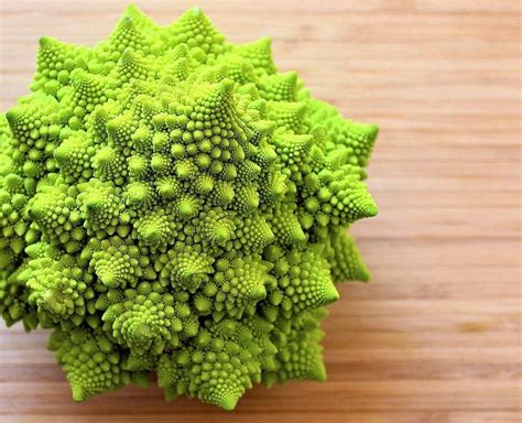 Romanesco Broccoli Plant Size Make Sure To Plant Them In Alkaline