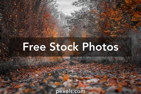 100000 Best Hd Background Photos · 100 Free Download · Pexels Stock