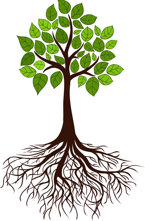 Tree Roots Clipart Cartoon Tree With Roots Vector Tree Roots Clipart