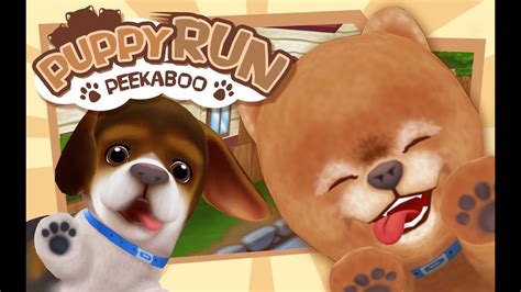 Pet Run Puppy Dog Game Kids Fun Dogs Games Education Games