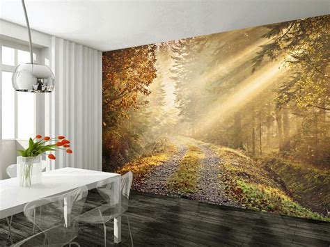 Tranquil Forest Path Giant Wall Mural Forest 002 Free Paste