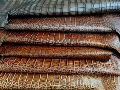 Delivery Of New Alligator Hides From France Croco
