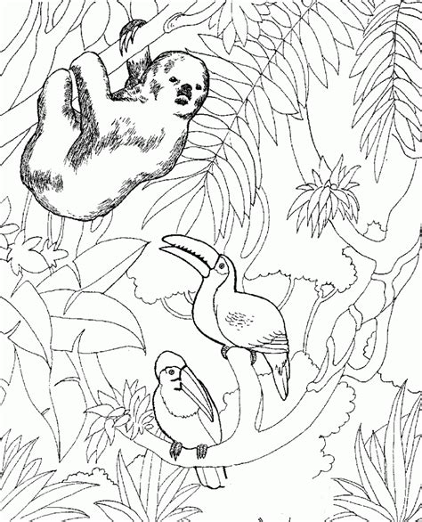 Also many zoo animals and farm animal pages to print and color. Free Printable Zoo Coloring Pages For Kids