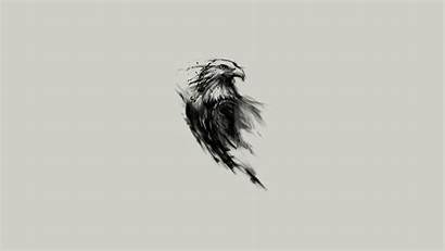 Simple Eagle Background Sketches Bald Artwork Birds