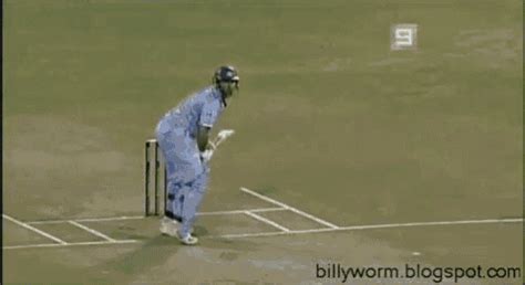 A cricket's chirping isn't just a way to pass the time. Cricket chirp gif 14 » GIF Images Download