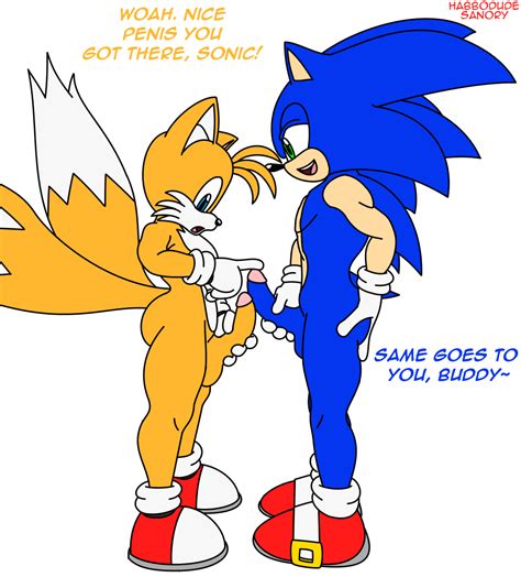 Sonic The Hedgehog Character Sonic The Hedgehog Tails Character The