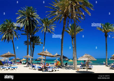 Beach In The Oasis Zarzis Djerba Island Tunisia Stock Photo Alamy