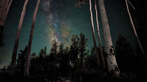 Desktop Wallpaper Stars Milky Way Galaxy Night Tree Forest Hd