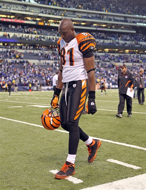 Terrell Owens 4 Nfl Teams He Could Be Playing For In 2011 News