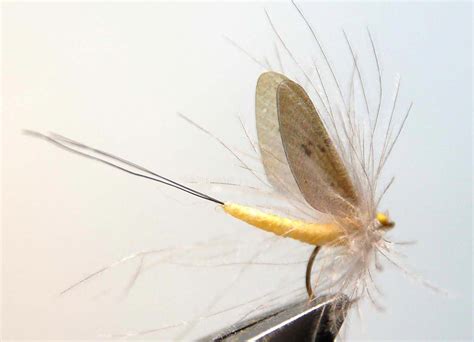 How To Tie Realistic Mayfly Step 13 Ties Fly Tying Patterns Fly