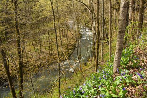 27 Hidden Spots And Natural Wonders Around Ohio You Need To Explore