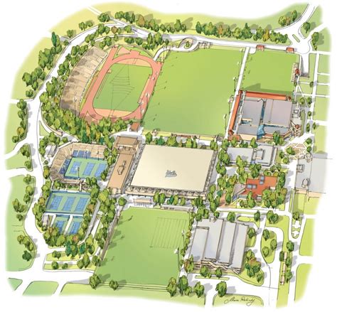 Ucla Sports Campus Map Illustration Rabinky Art Llc