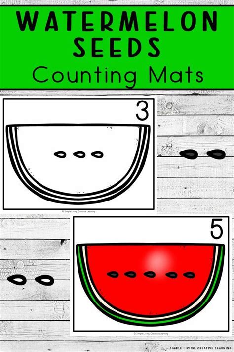 Watermelon Seed Counting Mats Creative Learning Watermelon Seed