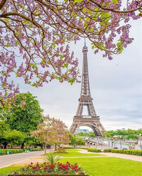 Cherry Blossom 🌸 📷photo By Dralbarjas 😘 🇫🇷mark Your Photo With Tag