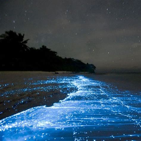 16 Spellbinding Light Phenomena From Across The Planet Beautiful