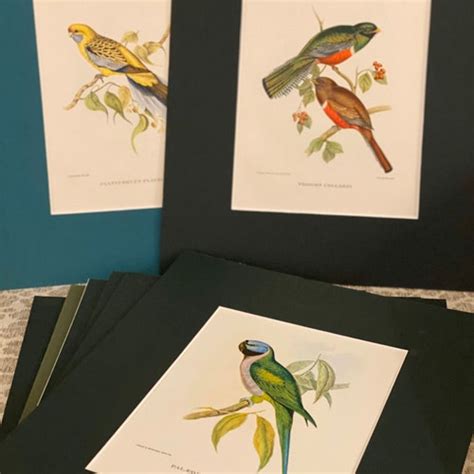 Birds And Botanicals Lithograph Prints By J Gould And C Etsy