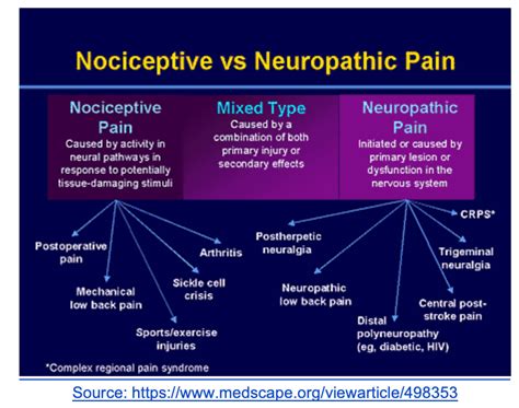 Nociceptive Pain Vs Neuropathic Pain Vitality Med Spa