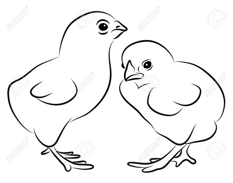 Chick Clipart Black And White 20 Free Cliparts Download Images On
