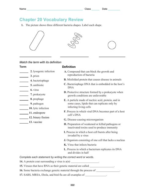 Chapter 8 From Dna To Proteins Vocabulary Practice Answers Worksheet