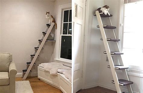 Cat stairs courtesy of ikea. Cat Climbing Ideas: Cat Shelves, Condos, Trees & Perches