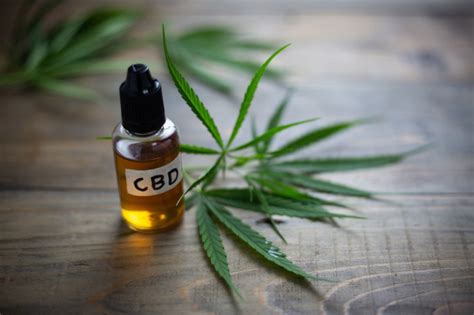 hemp cbd vs cannabis cbd what s the difference giving tree dispensary