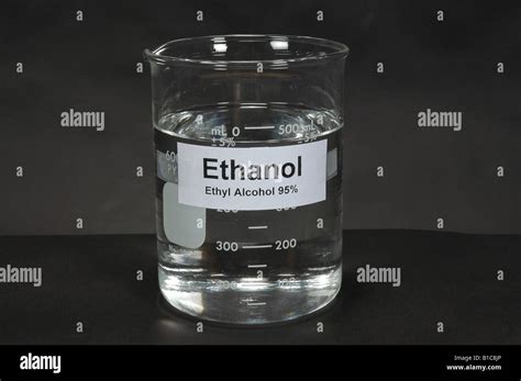 Beaker Of 95 Ethanol Alcohol Specially Denatured Studio Stock Photo