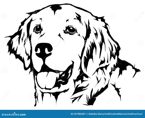 Golden Retriever Dog Face Printable Vector Stencil