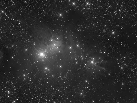 Deep Sky Fox Fur And Cone Nebula Ngc2264