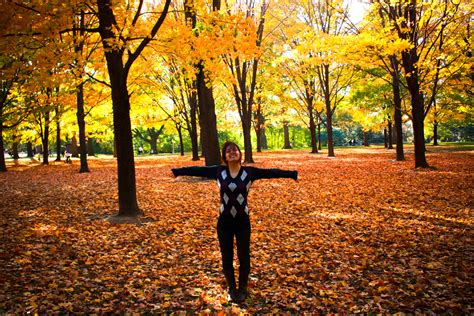 Nas regiões de clima temperado ou subtropical é caraterizado por queda gradativa na temperatura e pelo amarelar e início da queda das folhas das árvores, que indica a passagem das estações. Observando: Sobre o outono | Na Nossa Vida