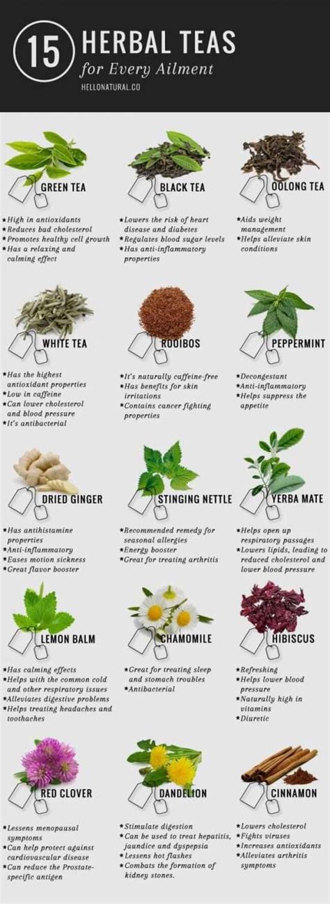 Everything About Life Medicinal Teas That Will Improve Your Body And