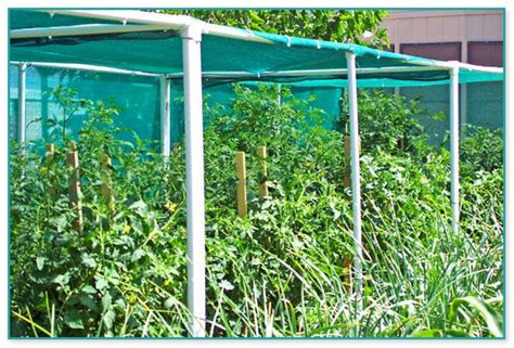 Vegetable Garden Shade Structures Home Improvement