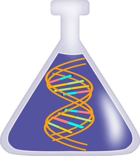 Free Dna Cliparts Download Free Dna Cliparts Png Imag