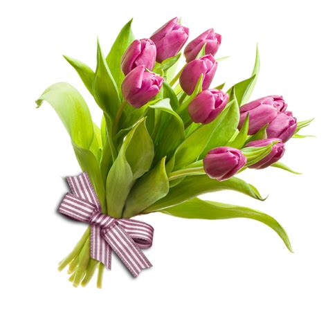 Download Bunch Of Flowers Png Image For Free
