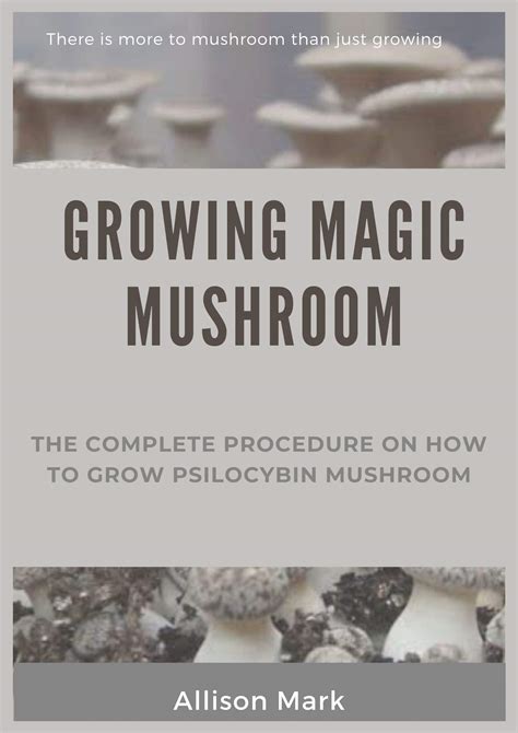 Growing Magic Mushroom The Complete Procedure On How To Grow