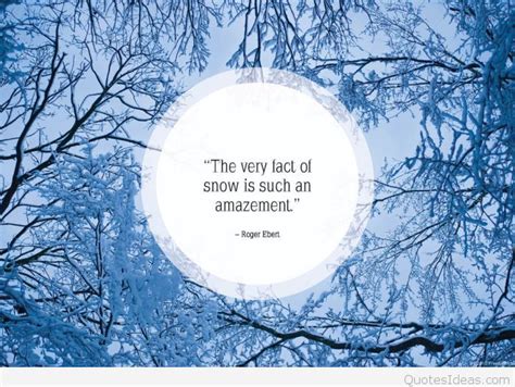 Quotes About Snowflake 82 Quotes