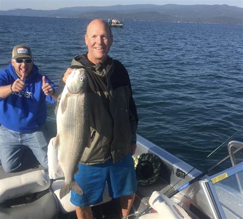 The Flathead Lake Whitefish Bite Is On Montana Hunting And Fishing