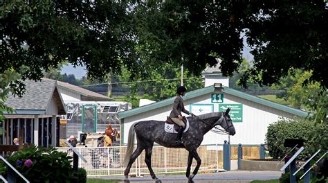 Kentucky Horse Park In Lexington Expedia