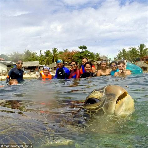Sea Turtle Photobombs Group In The Philippines At Just The Right Moment