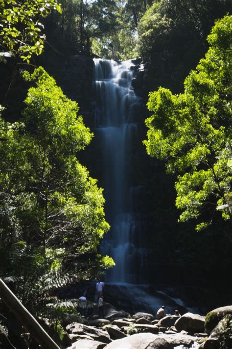 Erskine Falls Is One Of The Great Ocean Roads Most Iconic Waterfalls