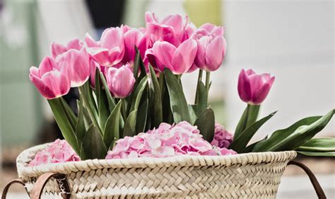 Find mother's day gift baskets from ftd. Mother's Day 2018 UK: Last delivery day for gifts, cards ...