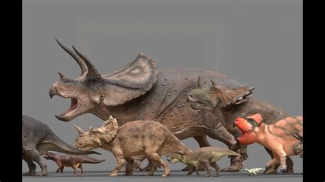 ceratopsia 각룡류 모음 youtube